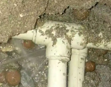 茂名市测漏水多少钱