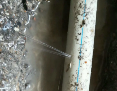 茂名市测漏水哪家好