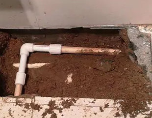 茂名市测漏水哪家好