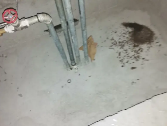 茂名市卫生间测漏水价格明细