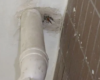 茂名市漏水检测哪家好